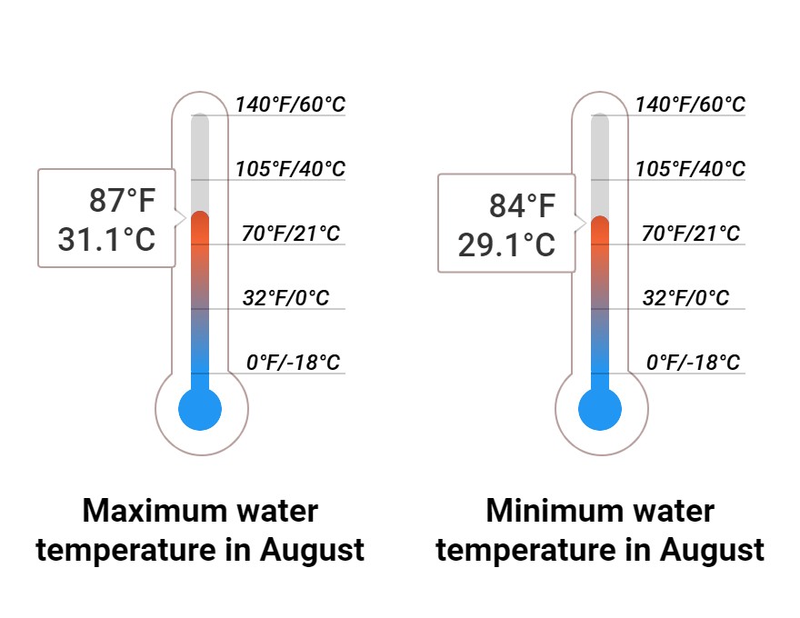 Average Sea temperature